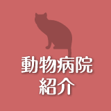 動物病院紹介