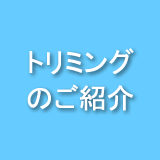 トリミングのご紹介